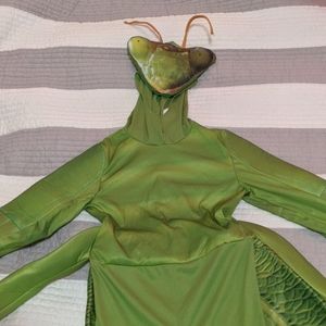 Praying mantis costume